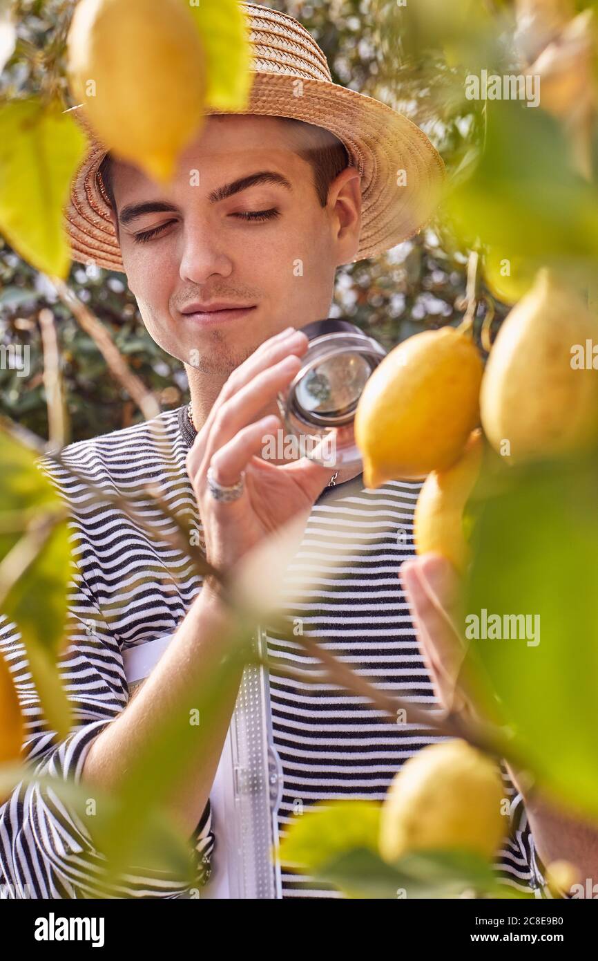 Gros plan d'un jeune homme regardant le citron à travers la loupe Banque D'Images
