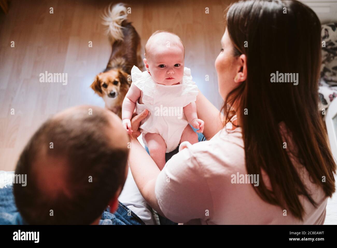 Bebe Mignon Avec Parents Et Chien Dans Le Salon A Accueil Photo Stock Alamy