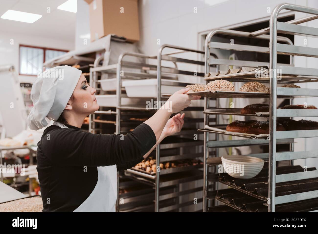 Boulanger femelle insérant le plateau à pains dans l'étagère du chariot à boulangerie Banque D'Images