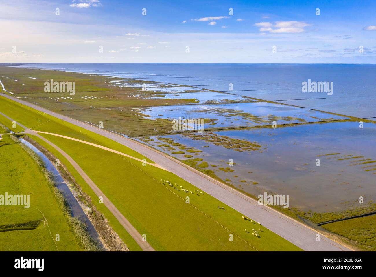 Vue aérienne du pâturage des moutons sur la digue de mer dans le parc national du marécage de Tidal et La zone du patrimoine mondial De L'Unesco Waddensea dans la province de Groningue. Netherlan Banque D'Images