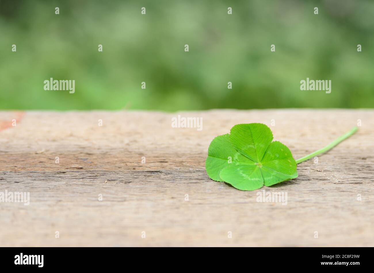 Symbole De Bonne Chance Banque D Image Et Photos Alamy