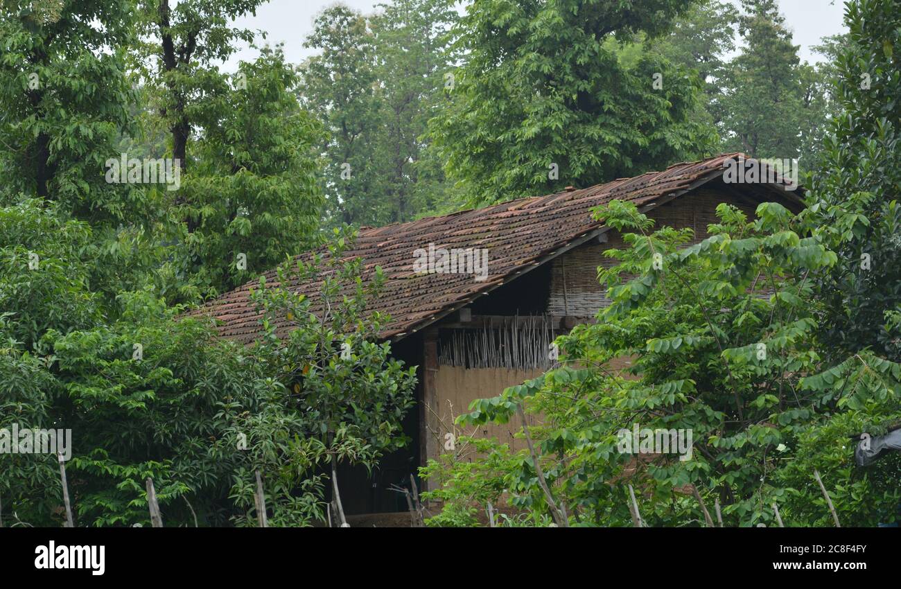 Maison en bois d'époque dans la forêt. Banque D'Images