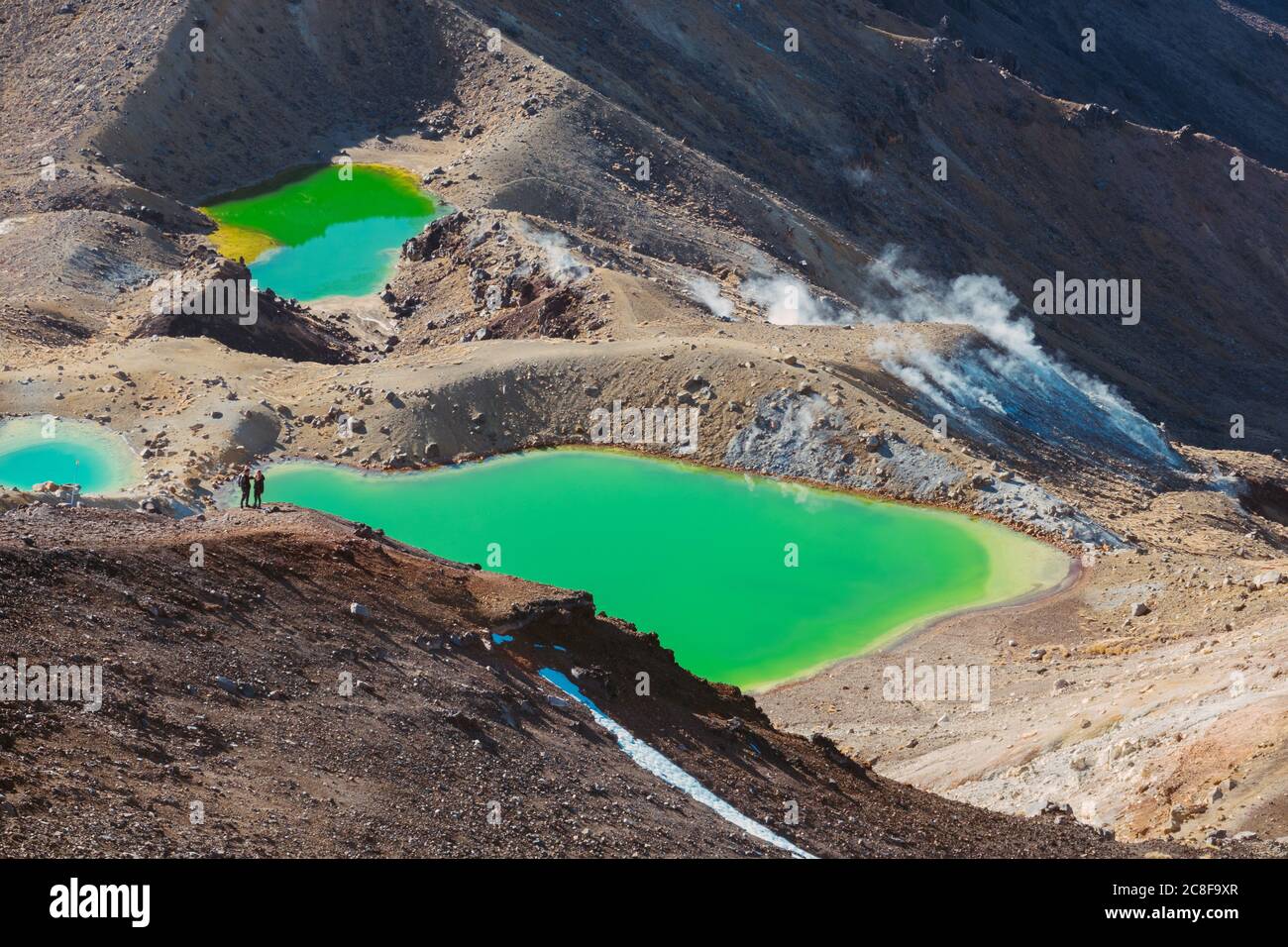 Les lacs Emerald (Ngā Rotopounamu) sur Tongariro Alpine Crossing, Nouvelle-Zélande. Les minéraux dissous donnent leur couleur verte Banque D'Images