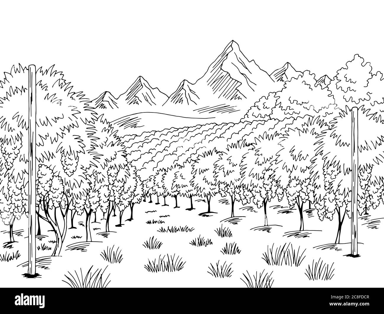 Vigne graphique noir blanc paysage dessin illustration vecteur Illustration de Vecteur