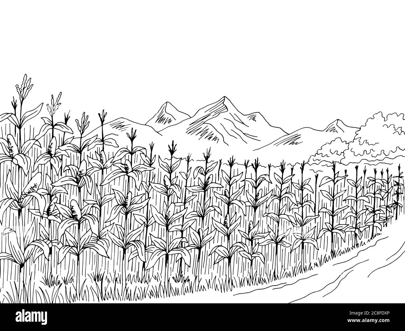 Graphique de champ de maïs noir blanc paysage illustration vecteur Illustration de Vecteur