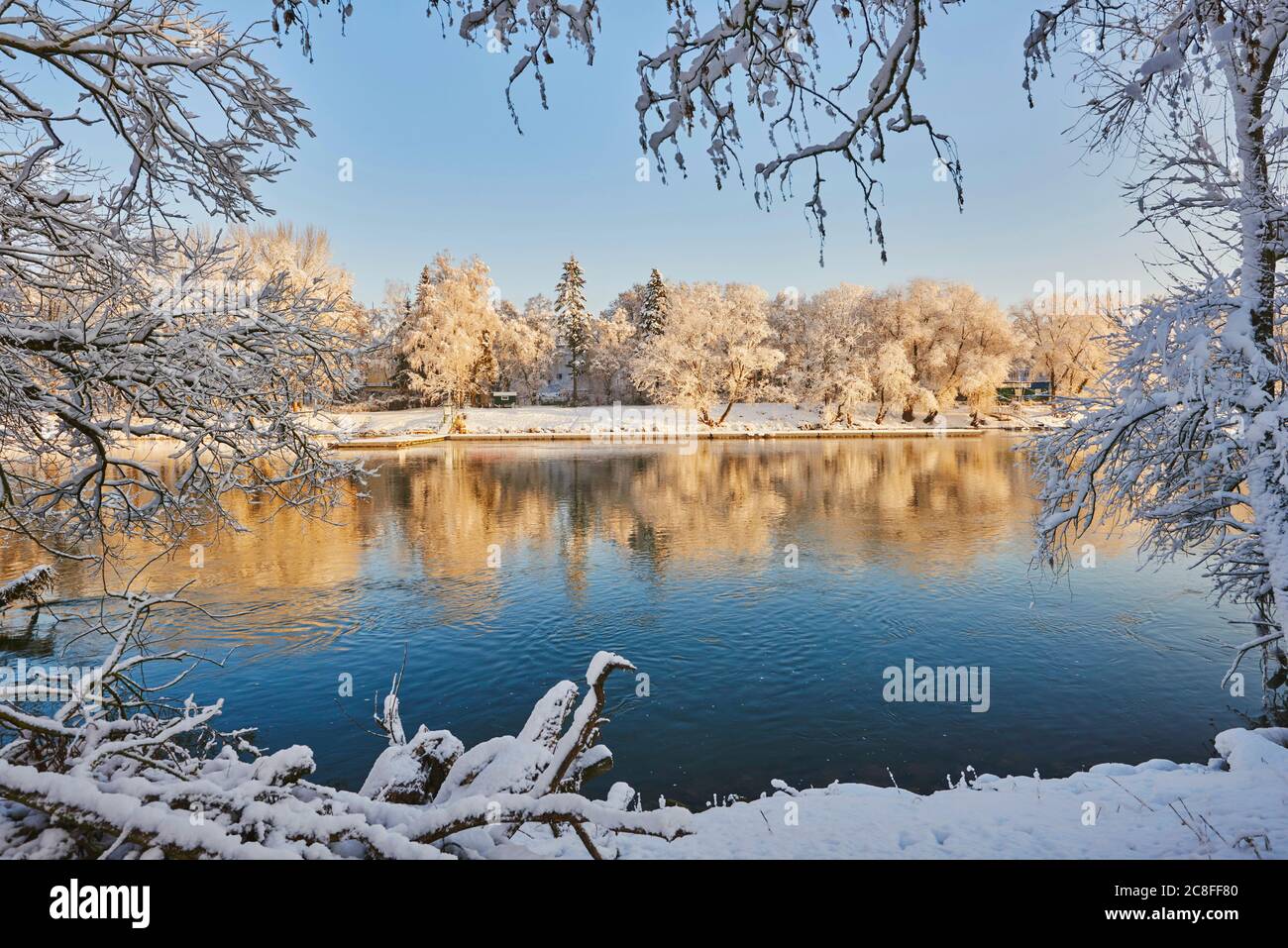 Danube avec des arbres enneigés en hiver, Allemagne, Bavière, Ratisbon Banque D'Images
