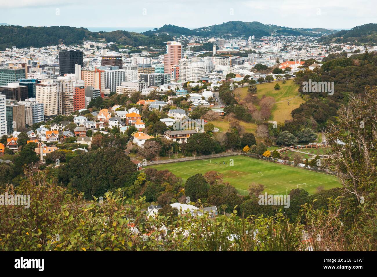 Anderson Park, un terrain de sport adjacent au jardin botanique de Wellington, en Nouvelle-Zélande Banque D'Images