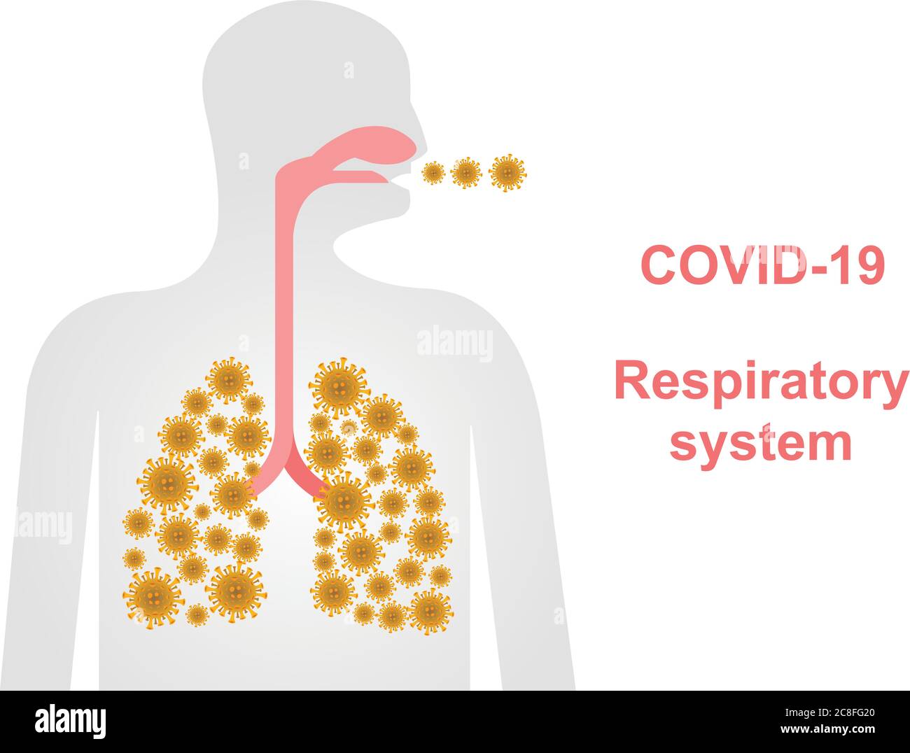 Coronavirus effet sur le système respiratoire humain et les poumons, espace de copie, conception de bannière coronavirus avec poumons et système respiratoire infectés. Illustration de Vecteur