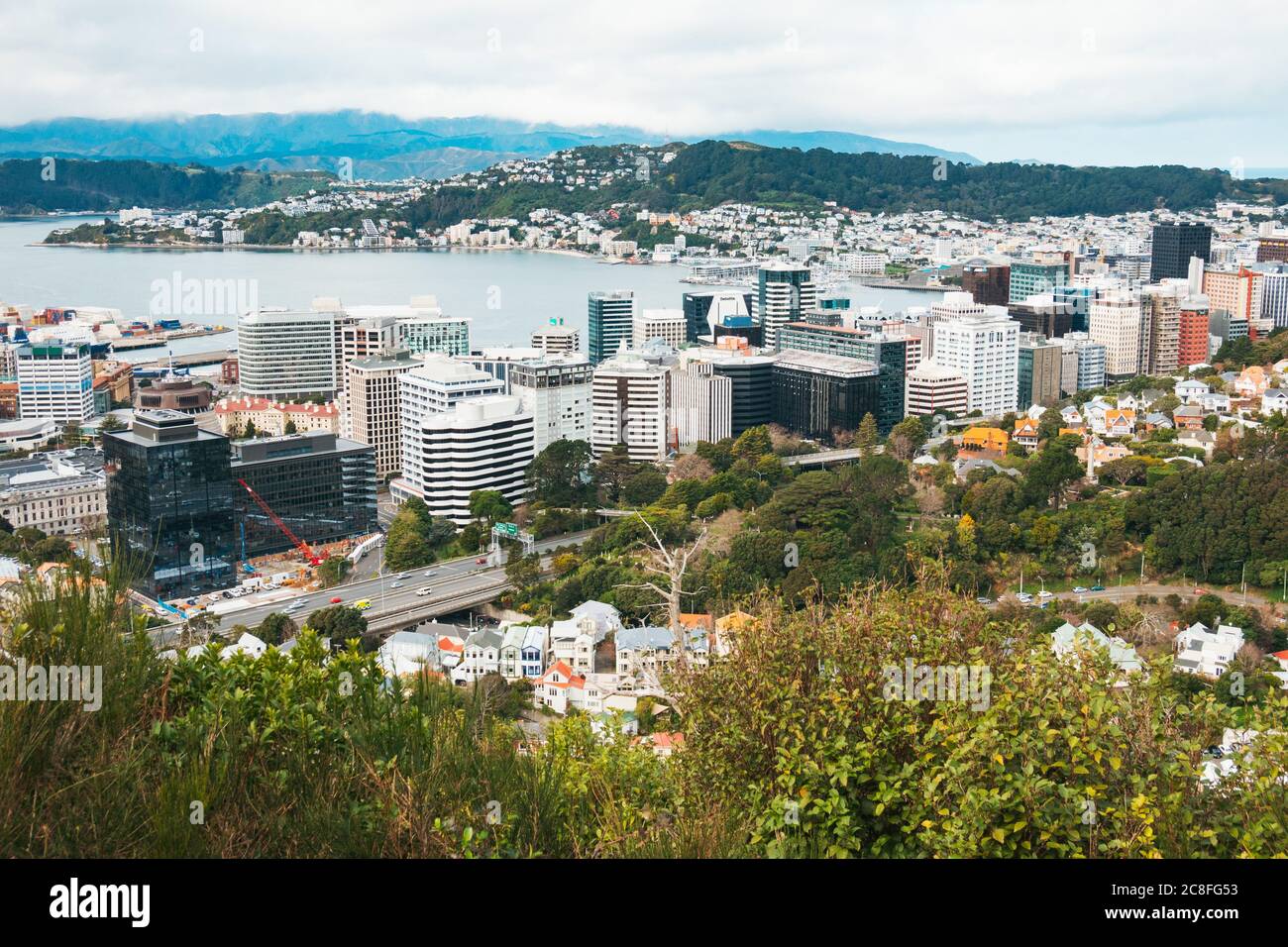 Centre-ville de Wellington vu de la promenade du Nord dans la réserve de la colline de te Ahumairangi Banque D'Images