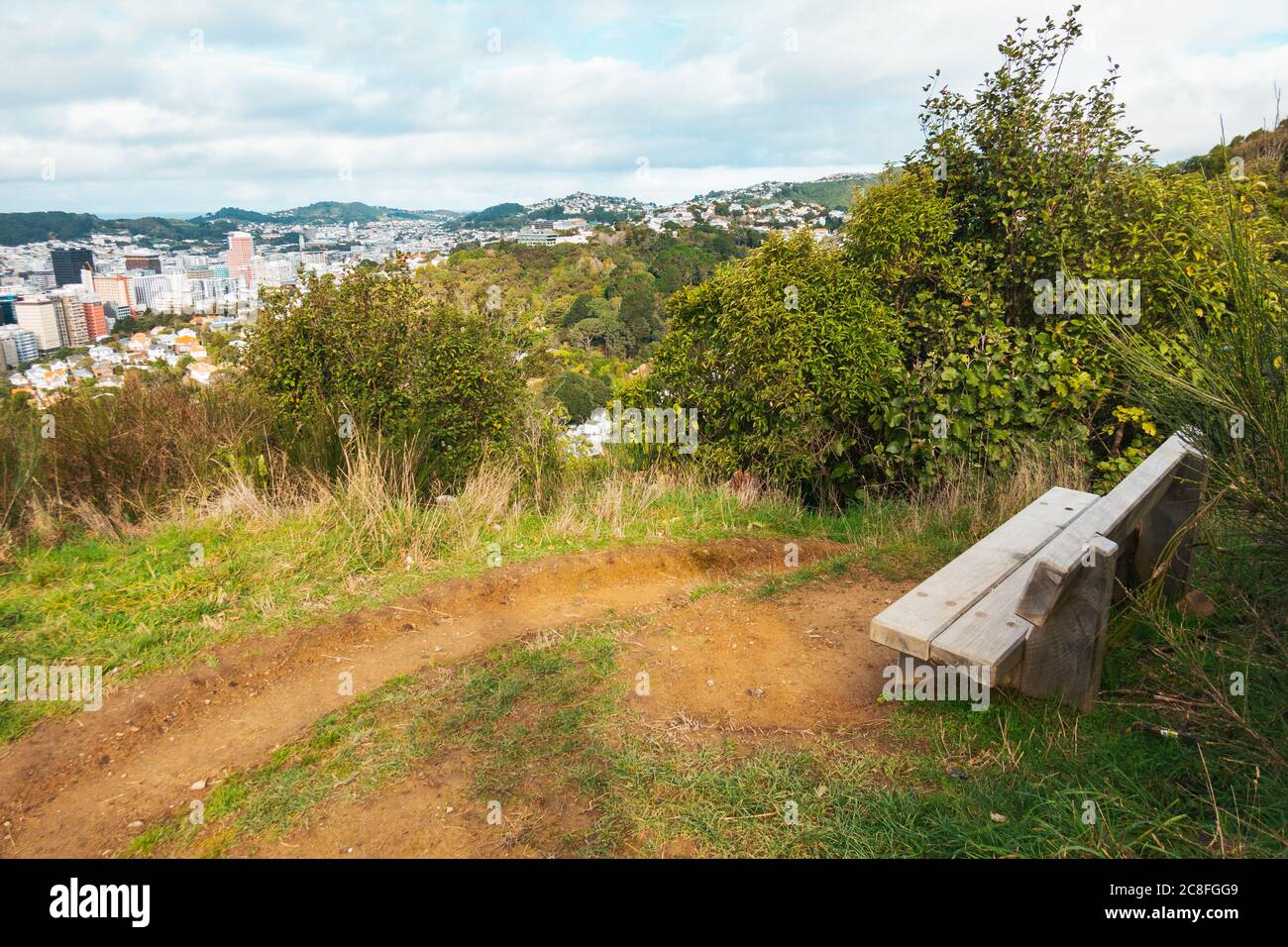 Un siège commémoratif en bois parmi les buissons sur la promenade du nord de la ceinture de ville, Wellington, Nouvelle-Zélande Banque D'Images