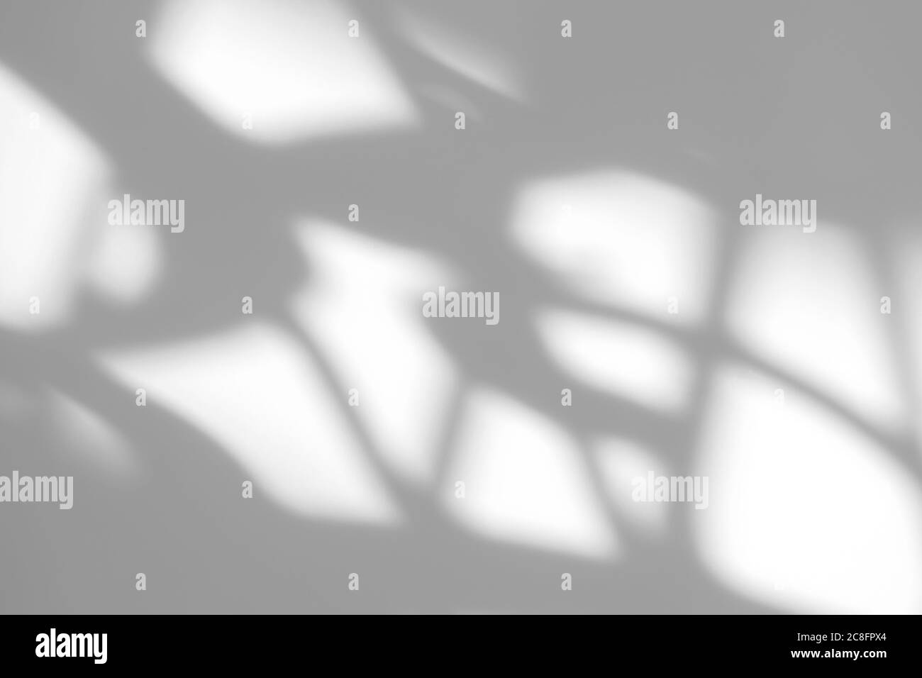 Ombre de goutte organique sur un mur blanc Banque D'Images