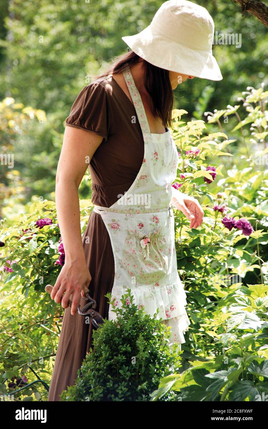 Femme avec ciseaux de jardin . Droits britanniques et irlandais uniquement. Appelez le bureau pour effacer les droits supplémentaires. Banque D'Images