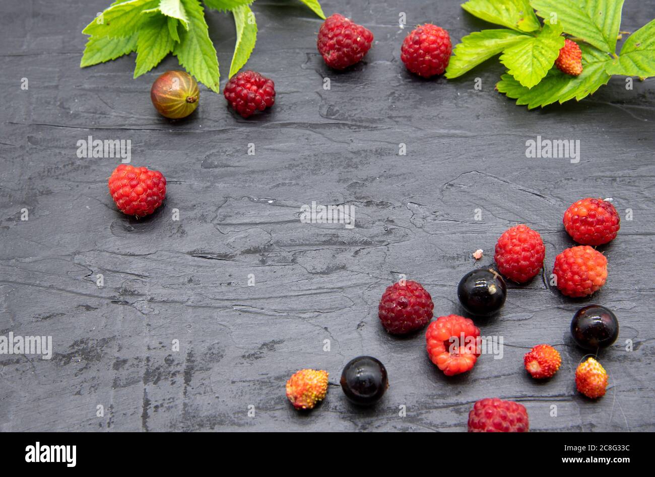 Les baies fraîches mûres et les feuilles de menthe se trouvent sur un fond d'ardoise noire. Banque D'Images