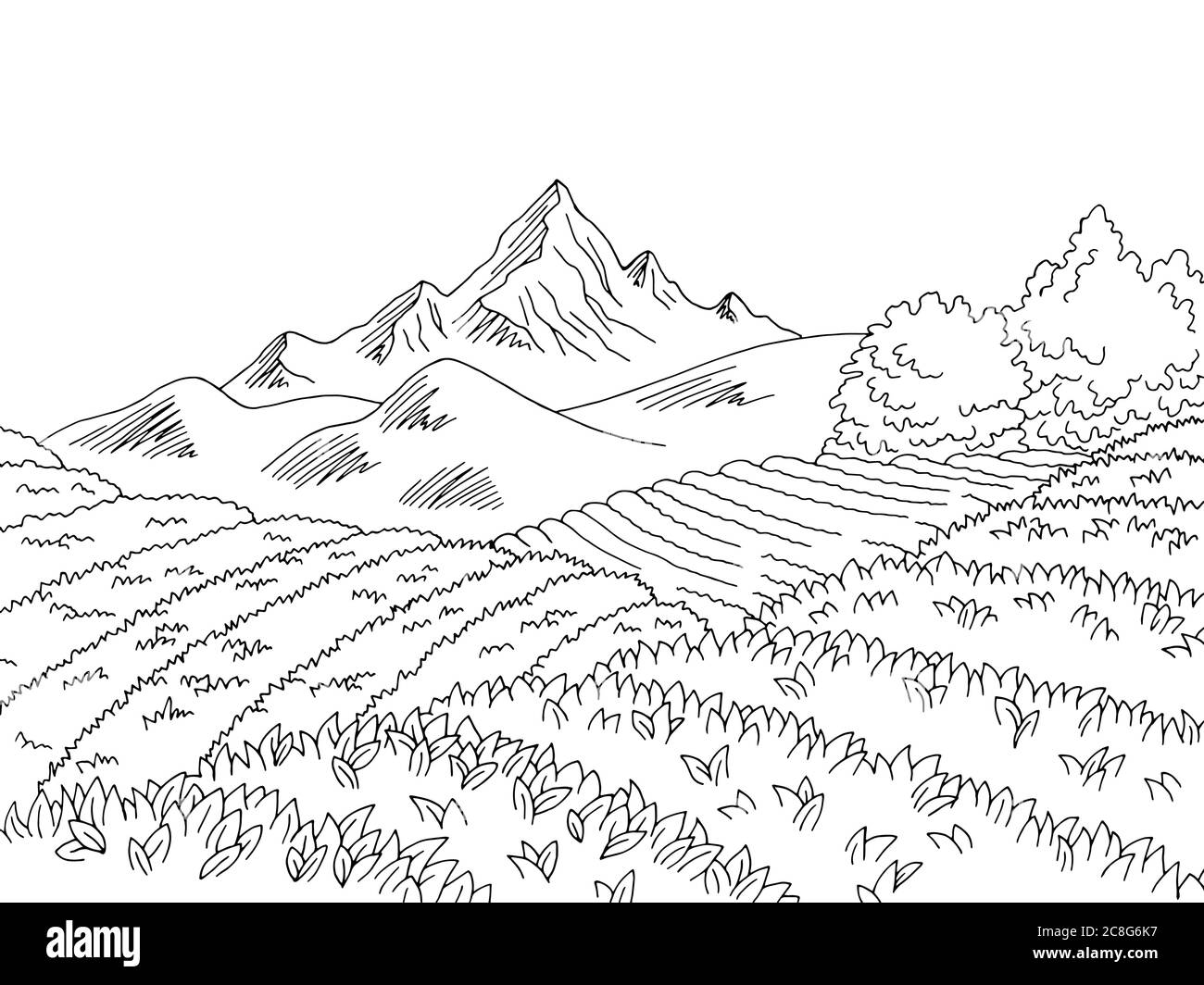 Graphique plantation de thé noir blanc paysage dessin illustration vecteur Illustration de Vecteur