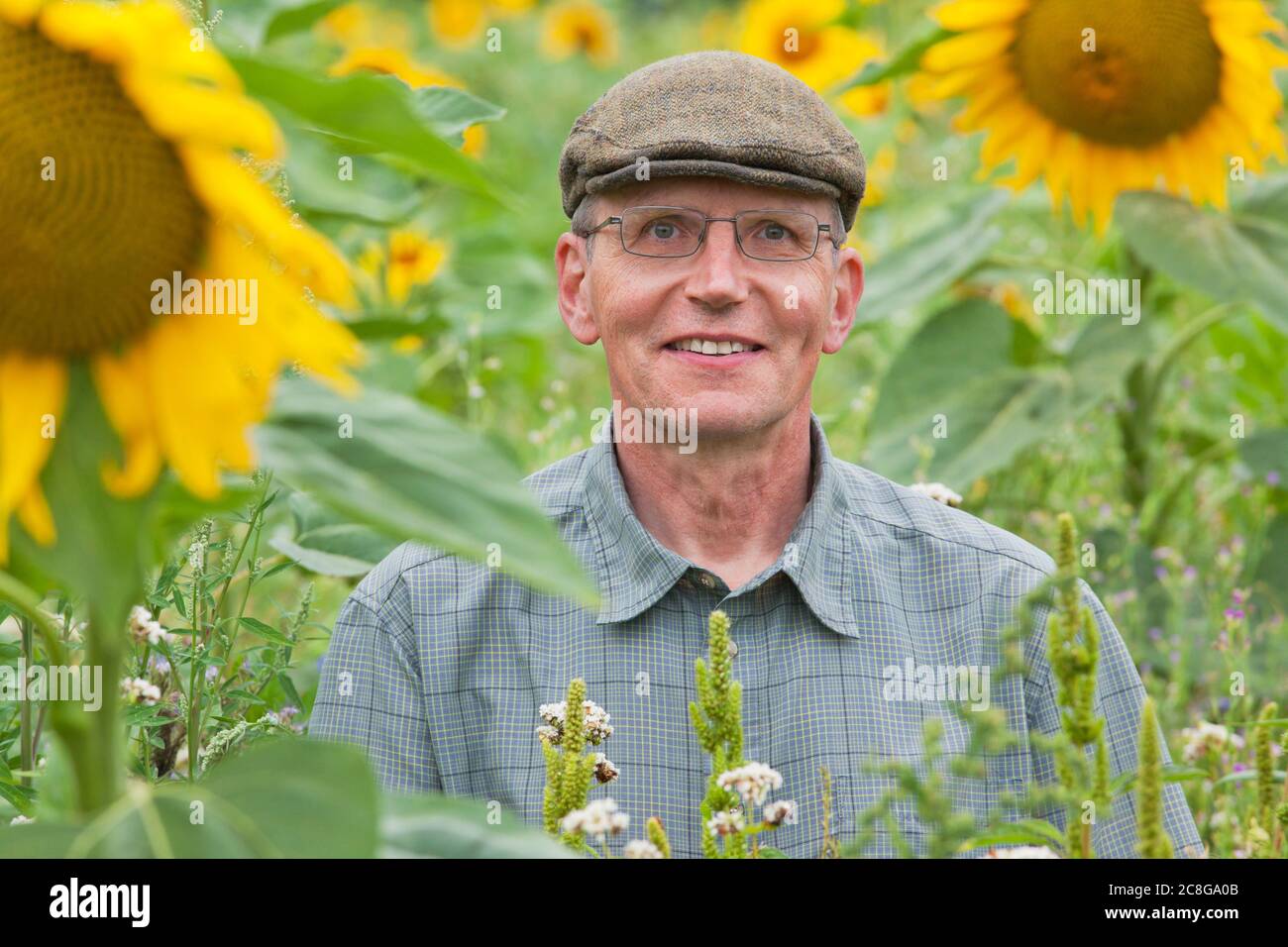 Joyeux sourire jardinier mûr dans un champ vert avec des tournesols organiques et des fleurs sauvages sans réaction allergique - regardant l'appareil photo Banque D'Images