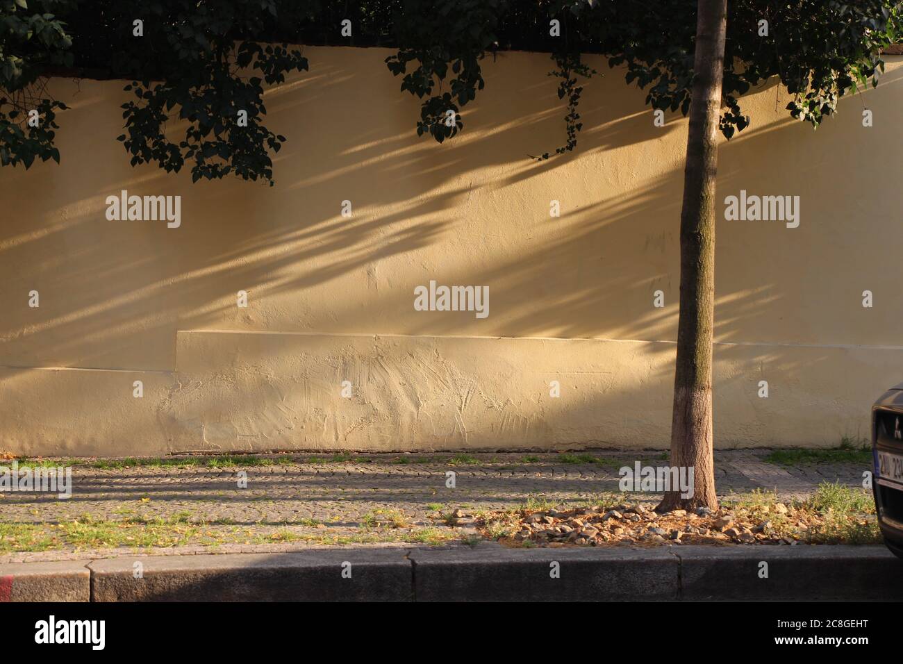 En fin d'après-midi, la lumière du soleil se jette à un angle sur la verdure de la rue, causant des ombres. Banque D'Images