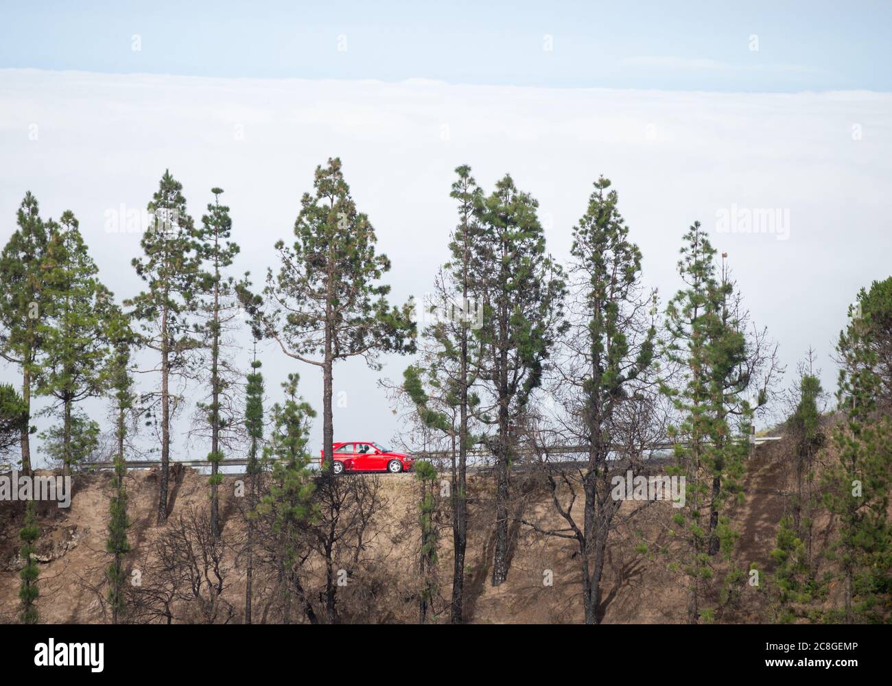 Voiture rouge sur la route de montagne sur Gran Canaria, îles Canaries, Espagne Banque D'Images