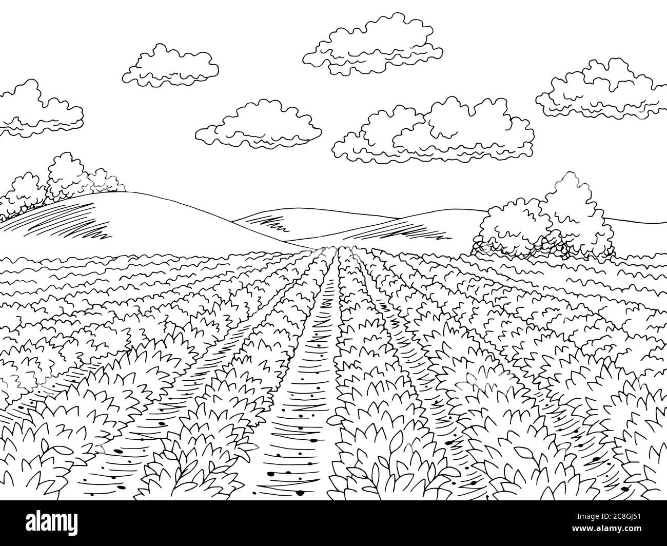 Motif de champ de pomme de terre noir blanc paysage dessin illustration vecteur Illustration de Vecteur