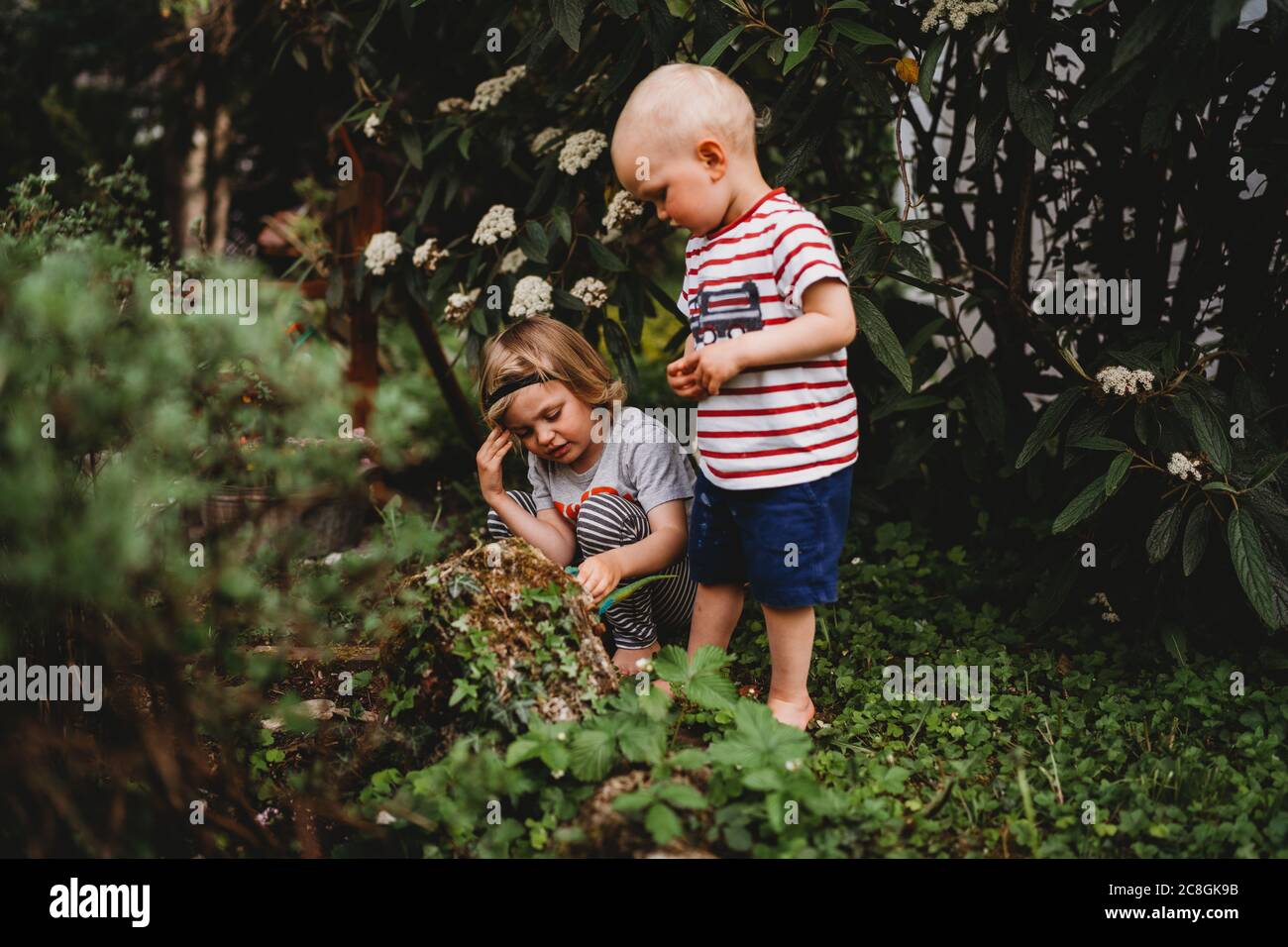 Jeunes garçons explorant dans le jardin à la recherche d'insectes été Banque D'Images