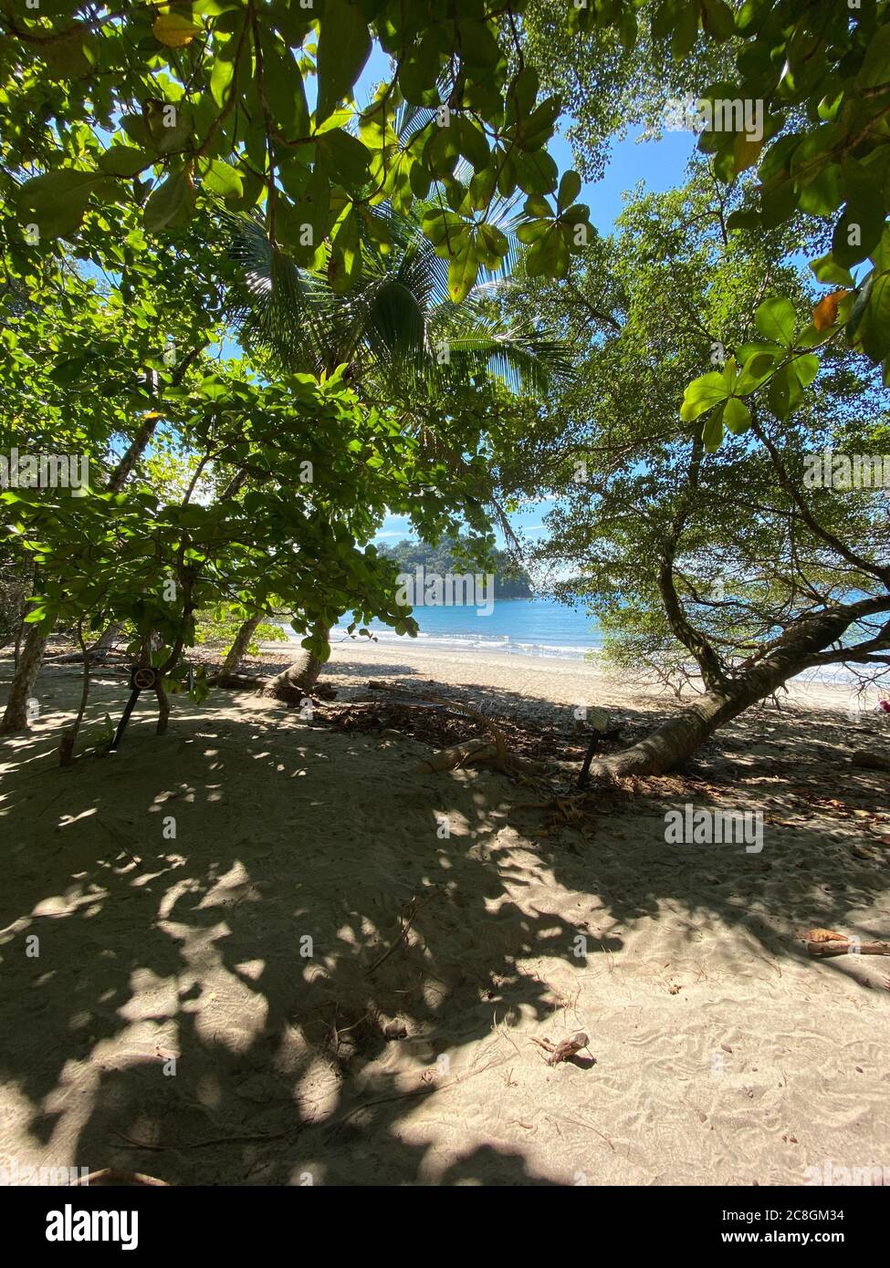 Une plage paradisiaque avec quelques arbres au Costa Rica Pacifique avec fine Banque D'Images