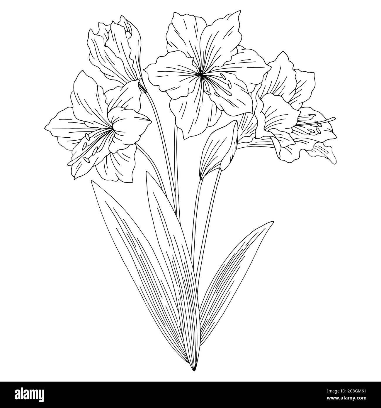 Fleurs Dessins Noir Et Blanc Bouquet de lys blanc Banque d'images noir et blanc - Alamy