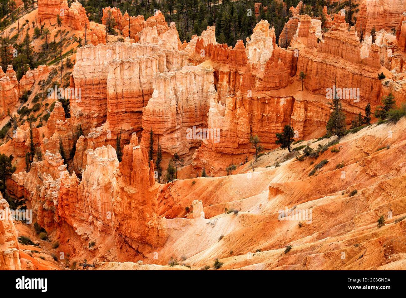Formations de grès dans le parc national de Bryce Canyon. Banque D'Images