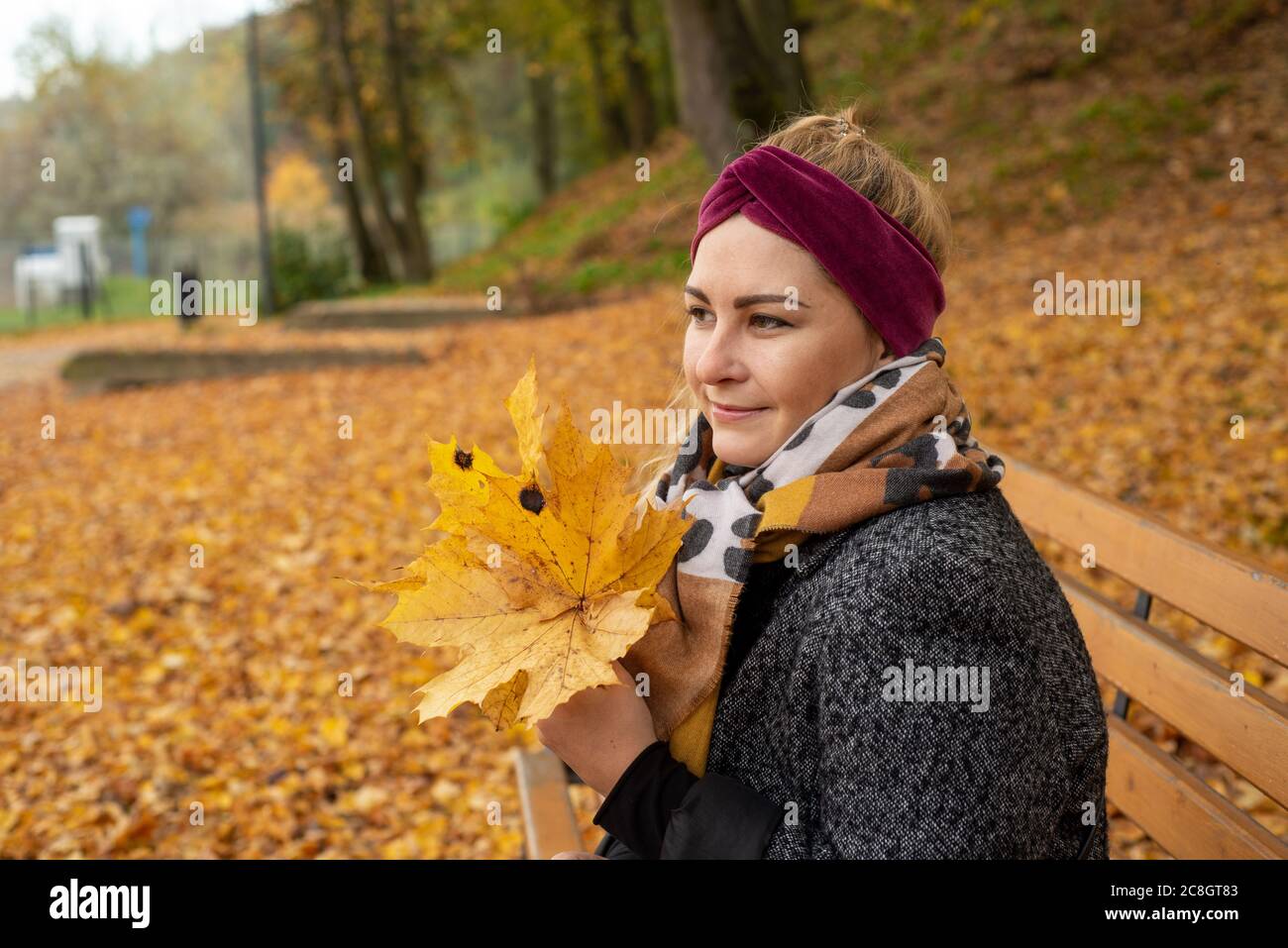 Les couleurs dorées de l'automne dans le centre de la Pologne Banque D'Images Les couleurs dorées de l'automne dans le centre de la Pologne Banque D'Images