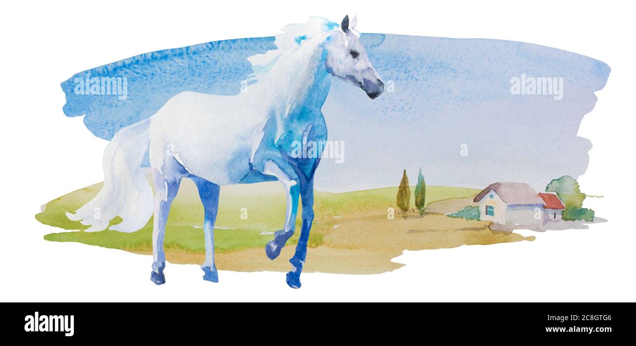 cheval blanc aquarelle sur un paysage simple avec des prairies et maison solitaire avec quelques arbres. Illustration rurale horisontale isolée sur fond blanc Banque D'Images