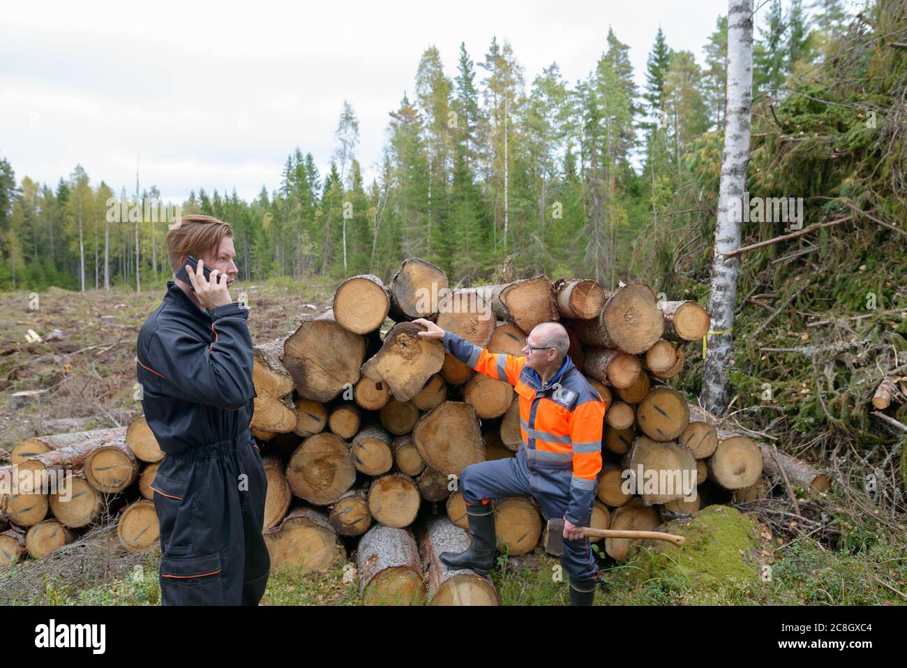 Homme mature vérifiant le bois haché avec un jeune homme parlant sur téléphone portable à l'extérieur de la forêt Banque D'Images
