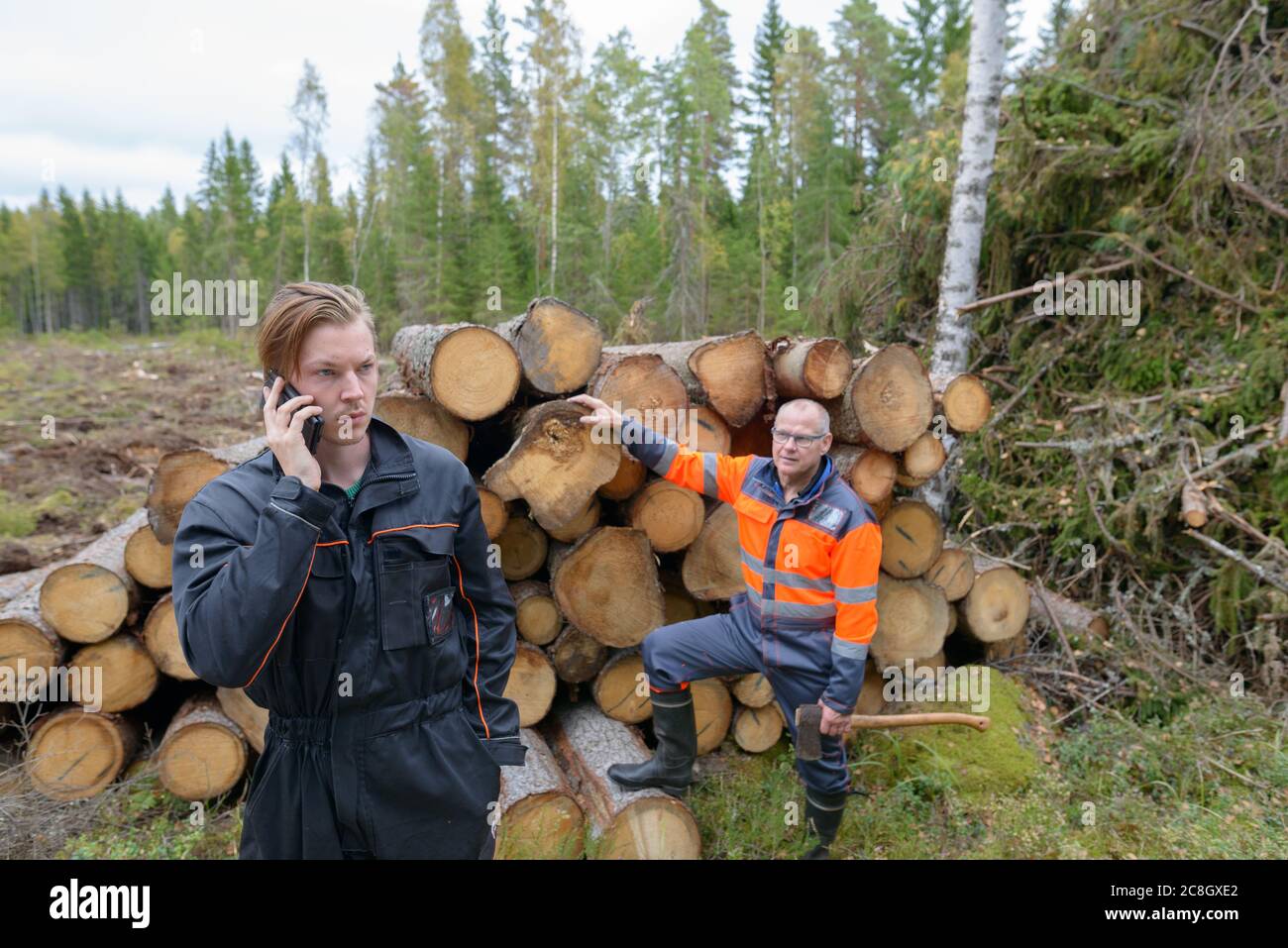 Homme mature vérifiant le bois haché avec un jeune homme parlant sur téléphone portable à l'extérieur de la forêt Banque D'Images