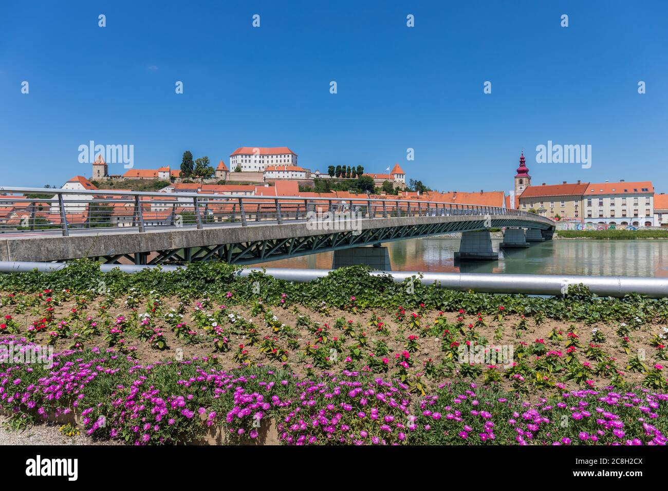 Ptuj, Slovénie Banque D'Images