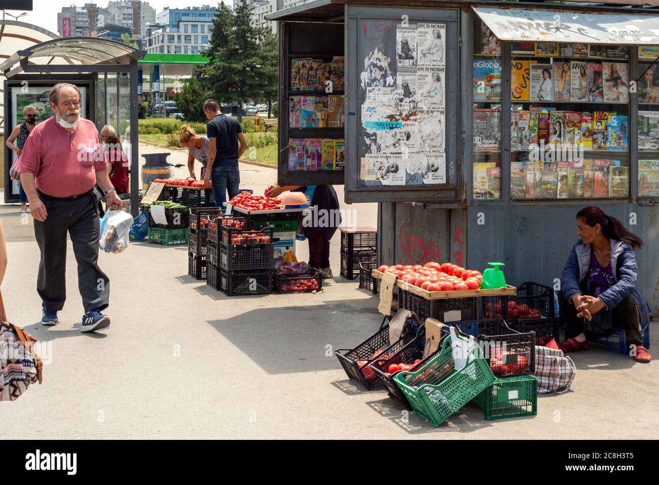 Femme gitane femme vendeur de rue vendant des tomates par étal impromptu sur le trottoir à l'arrêt de bus occupé à Sofia Bulgarie comme commerce illégal dans l'environnement urbain, Europe de l'est, Balkans, UE Banque D'Images