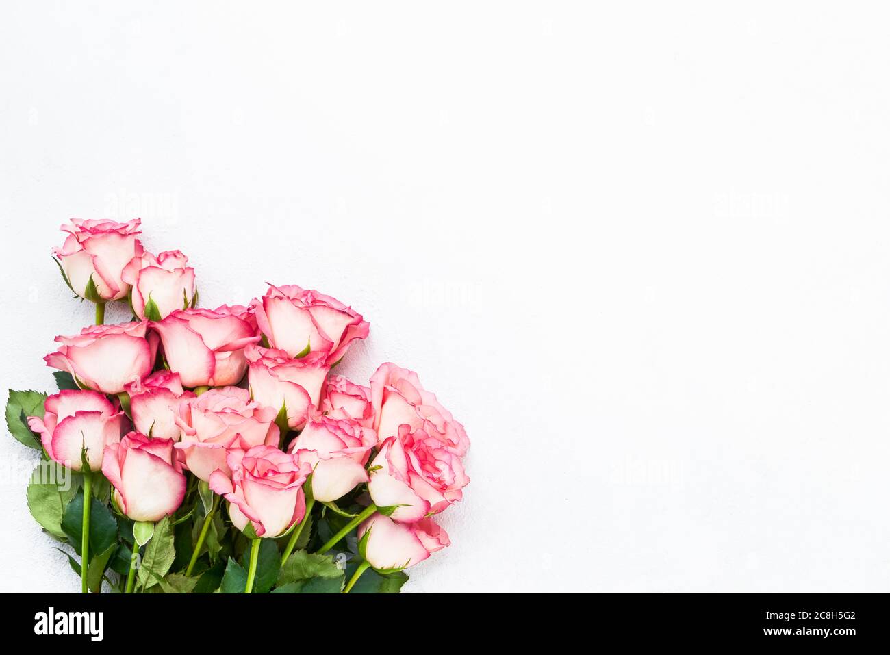 Bouquet de roses roses sur fond blanc. Fête des mères, Saint-Valentin, concept de célébration d'anniversaire. Carte de vœux. Copier l'espace pour le texte Banque D'Images