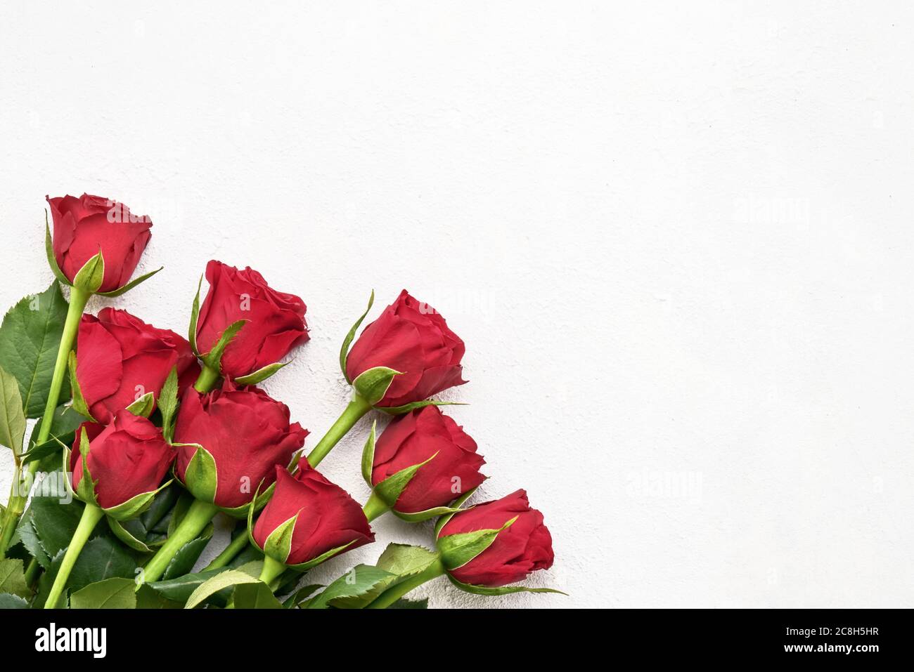 Bouquet de roses rouges sur fond clair. Concept de fête des mères, de fête de la Saint-Valentin, de célébration d'anniversaire. Copier l'espace pour le texte, vue de dessus Banque D'Images