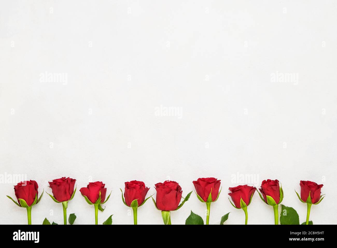 Les roses rouges bordent le fond clair. Concept de fête des mères, de fête de la Saint-Valentin, de célébration d'anniversaire. Copier l'espace pour le texte, vue de dessus Banque D'Images