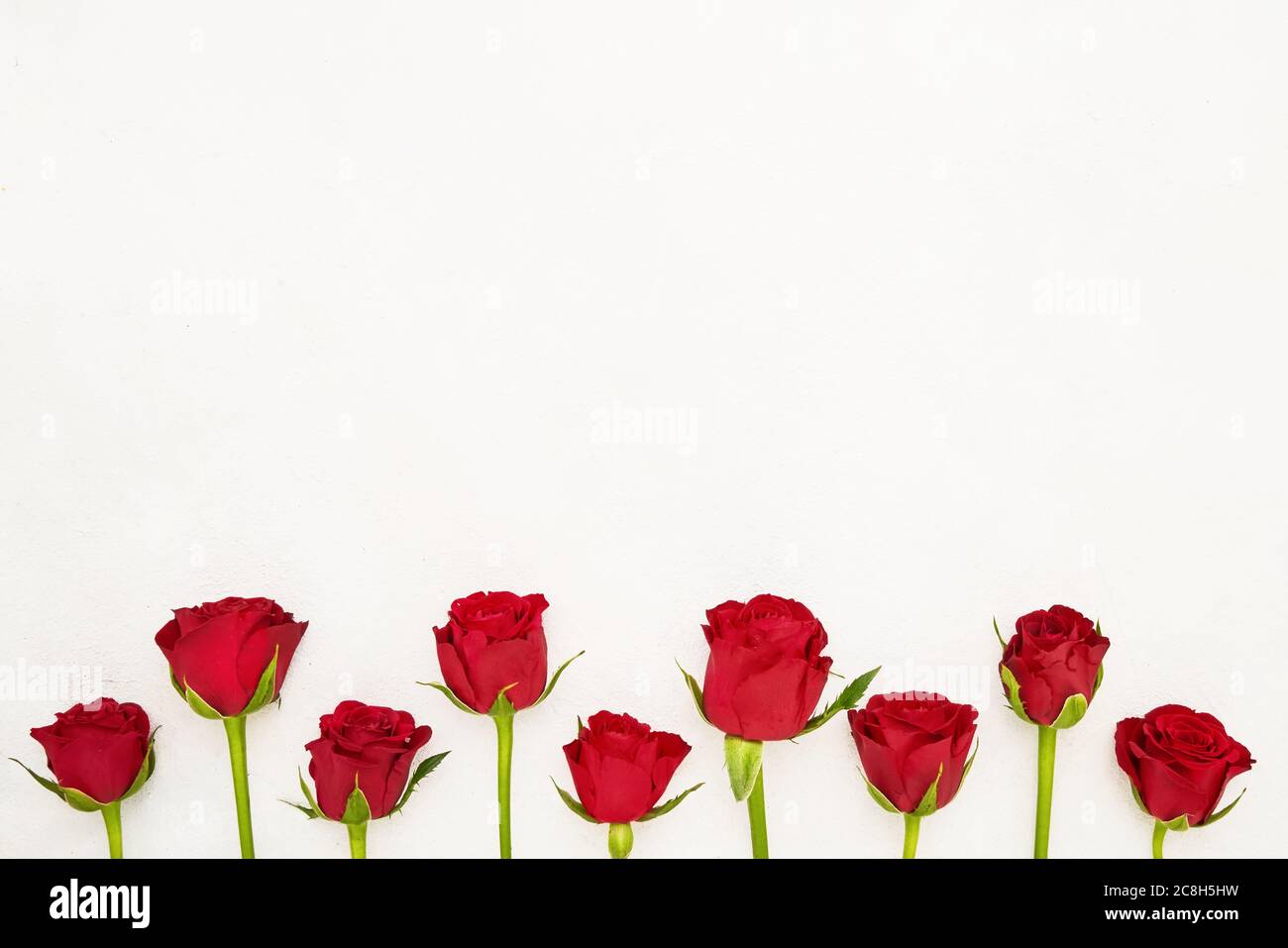 Bordure roses rouges. Concept de fête des mères, de fête de la Saint-Valentin, de célébration d'anniversaire. Copier l'espace pour le texte, vue de dessus Banque D'Images