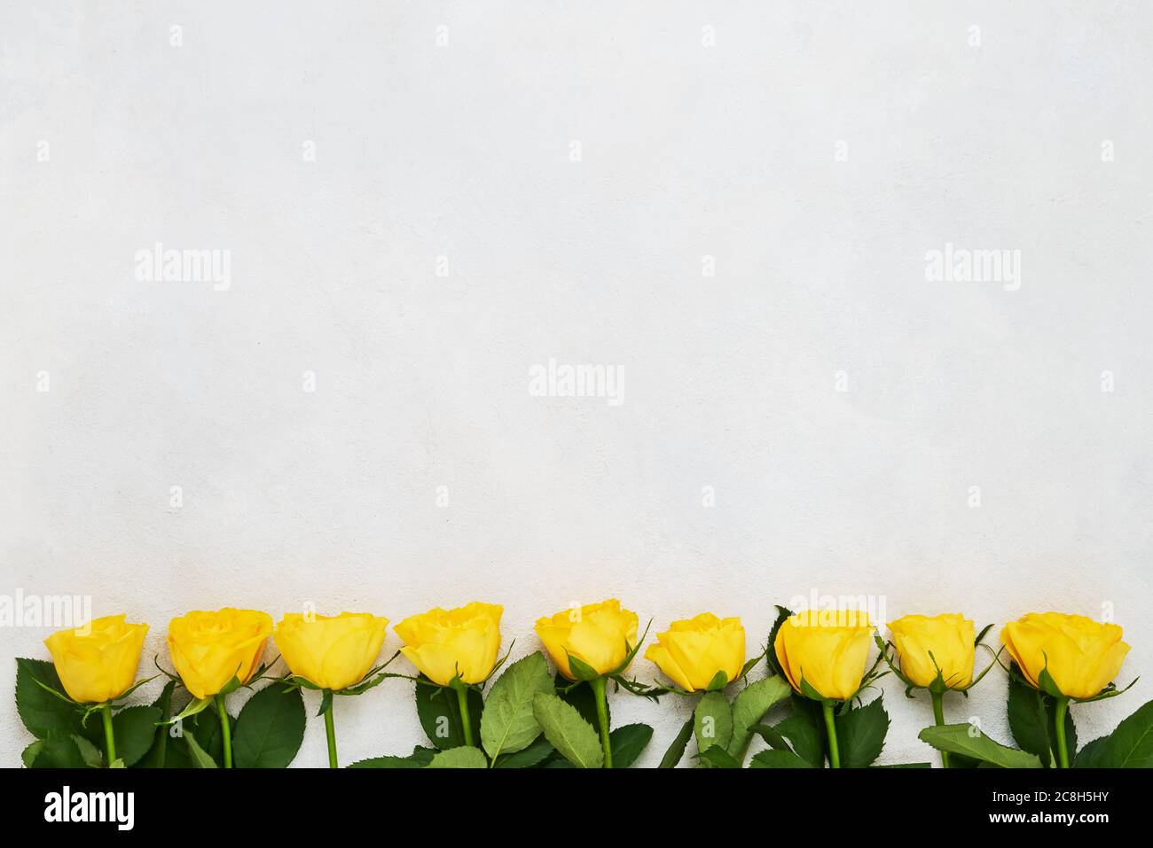 Bordure de roses jaunes sur fond clair. Concept de fête des mères, de fête de la Saint-Valentin, de célébration d'anniversaire. Copier l'espace pour l'espace, vue de dessus Banque D'Images