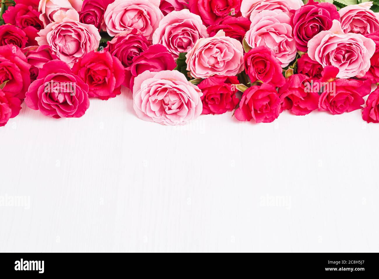 Bouquet de roses roses sur fond blanc. Concept de fête des mères, de fête de la Saint-Valentin, de célébration d'anniversaire. Carte de vœux. Copier l'espace Banque D'Images