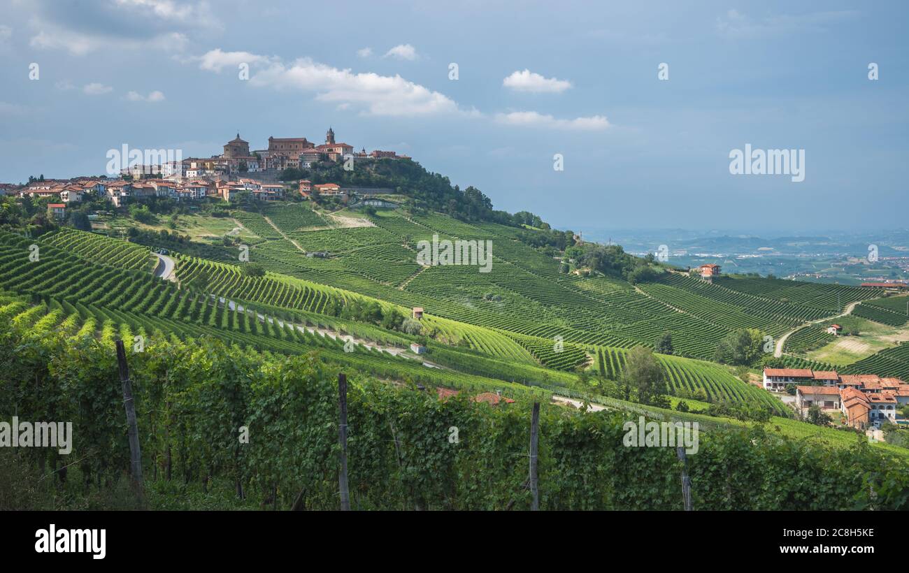 Vue sur les vignes de Nebbiolo ville médiévale de La Morra, Piemonte, Italie Banque D'Images