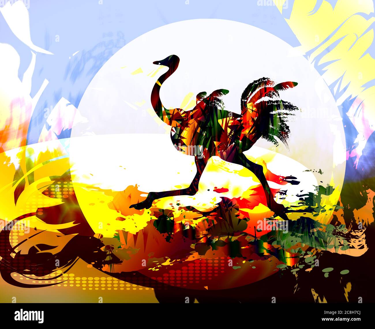 Autruche courant oiseau tropical coloré Banque D'Images