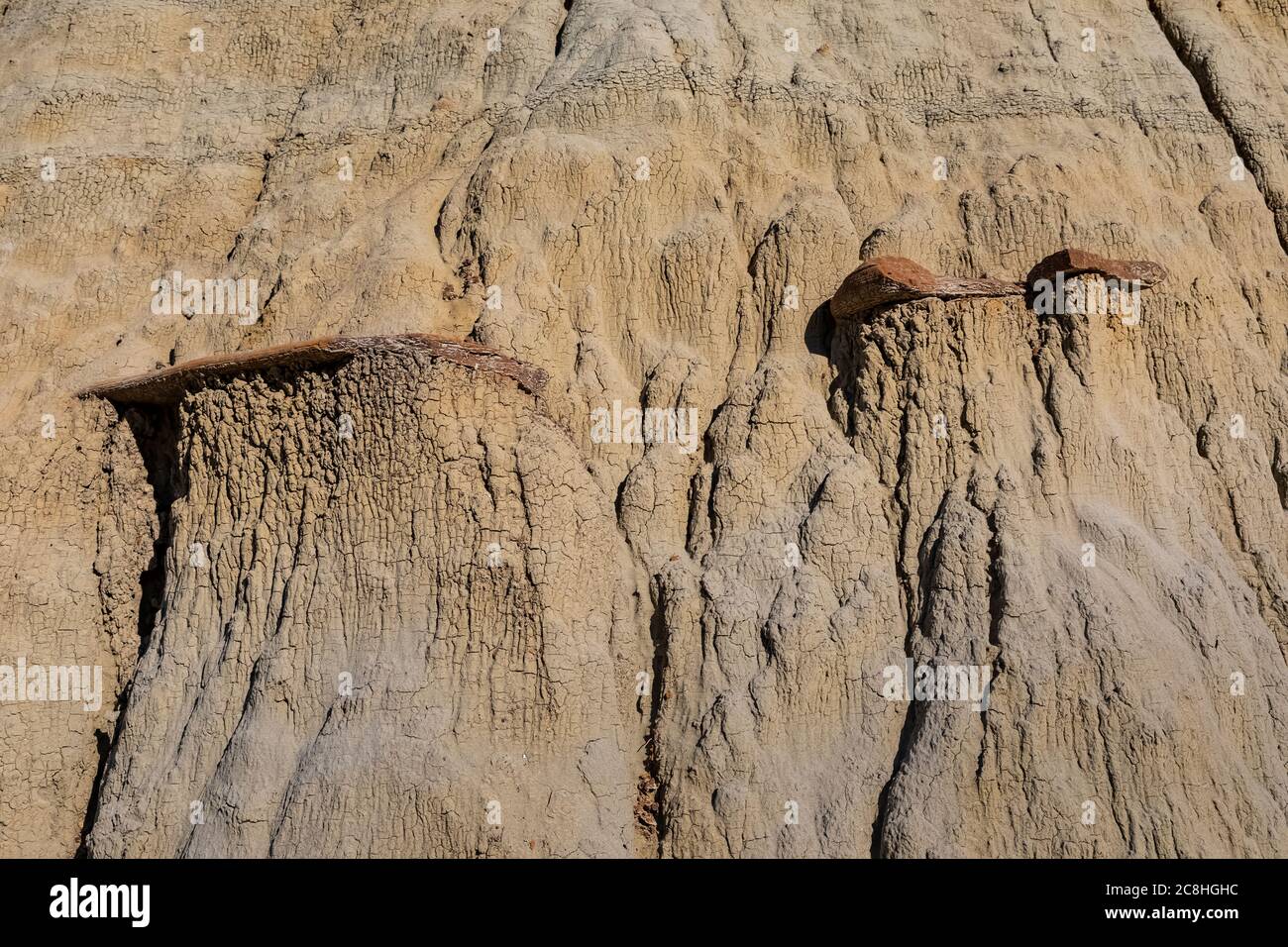 Érosion différentielle avec le plateau de roche dure et les sédiments mous le long du sentier de la nature Caprock Coulee dans le parc national Theodore Roosevelt, unité Nord, Nord Banque D'Images