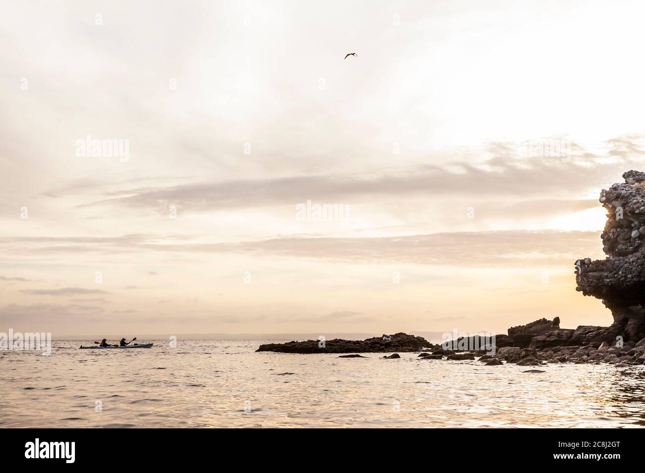 Silhouettes kayakistes, Isla Espirituu Santo, BCS, Mexique. Le golfe de Californie Banque D'Images