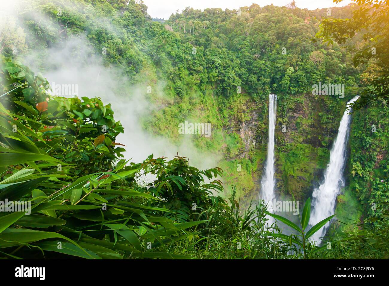 Vue imprenable sur la cascade de TAD Fane dans la brume matinale, superbe cascade jumeau dans la brume, destinations de voyage au sud du Laos. Banque D'Images