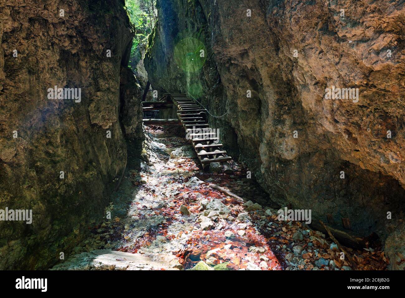 Chemin à travers le paradis slovaque. Parc national Slovensky Raj, Slovaquie. Paysage de sentier forestier avec belle lumière du soleil. Banque D'Images