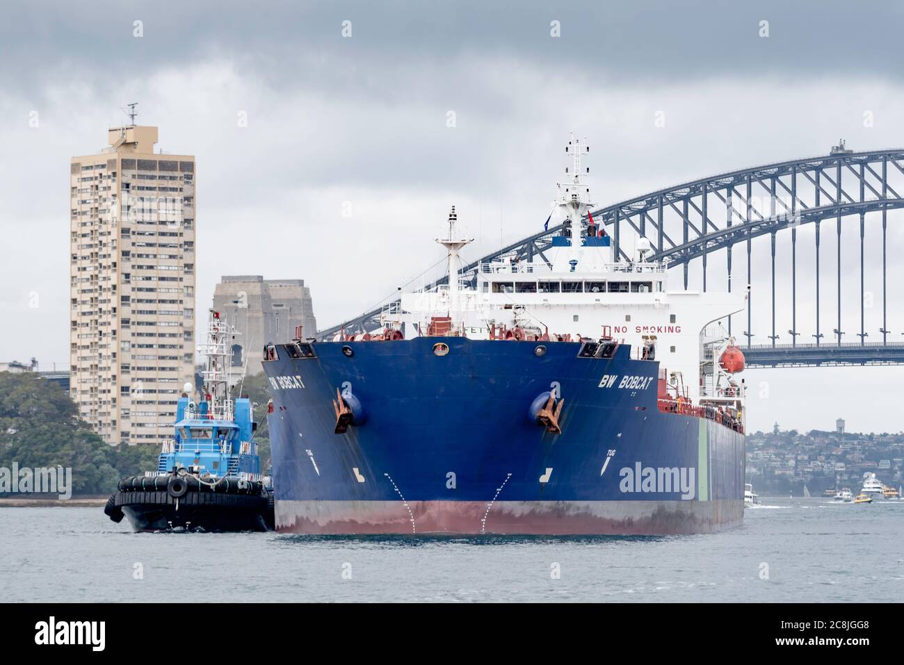 Le pétrolier BW Bobcat d'une capacité de 50,000 tonnes (DWT) de carburant  est escorté dans le port de Sydney, sur le côté ouest du pont du port de  Sydney Photo Stock -