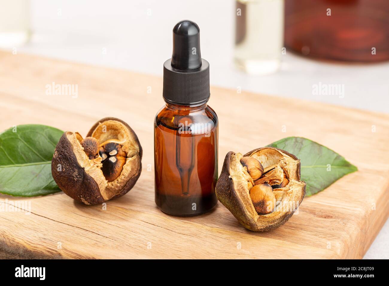 Camellia bouteille d'huile essentielle et graines de camellia sur table en bois. Beauté, soins de la peau, bien-être Banque D'Images