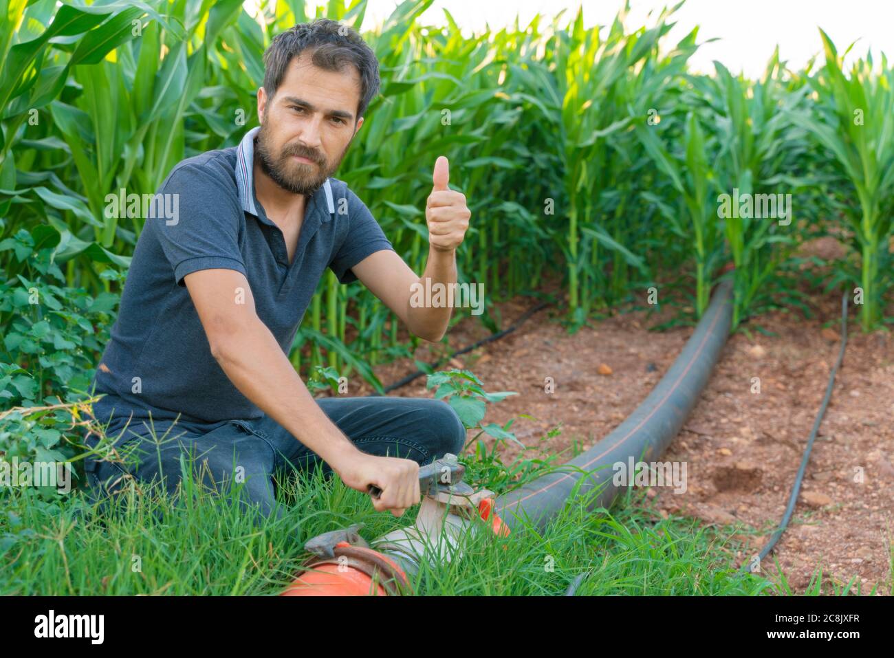 Jeune agriculteur debout sur un champ de maïs avec le panneau ok. Système d'irrigation en arrière-plan Banque D'Images