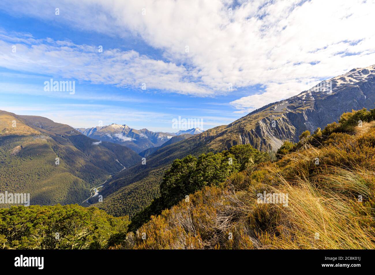 Découvrez le Haast Pass depuis le circuit Brewster Track, dans le parc national de Mount Aspiring, South Island, Nouvelle-Zélande. Banque D'Images