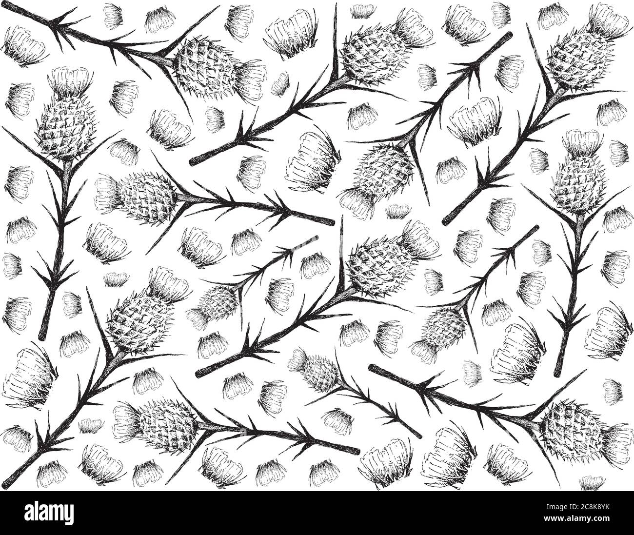 Plante et fleur de plantes, fond dessiné à la main de Silybum Marianum, Cardus Marianus ou Thistle de lait plante, utilisé pour traiter la maladie alcoolique du foie et G Illustration de Vecteur