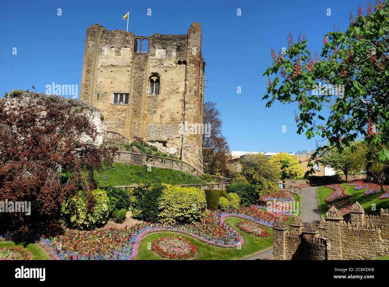 Tulipes de printemps colorées autour du château de Guildford, Surrey, par une journée ensoleillée Banque D'Images